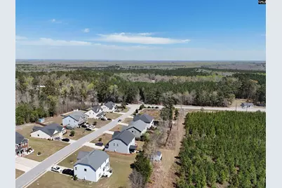 114 Tall Pines Road, Gaston, SC 29053 - Photo 37