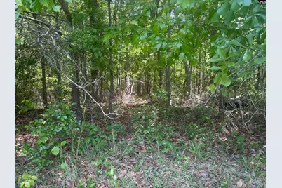 2206 Hwy 1 S, Elgin, SC 29045 - Photo 3