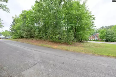 1 Aderley Court, Irmo, SC 29063 - Photo 3