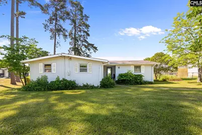 133 Williams Way, Chapin, SC 29036 - Photo 3