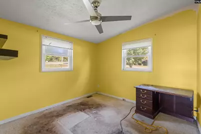 133 Williams Way, Chapin, SC 29036 - Photo 19