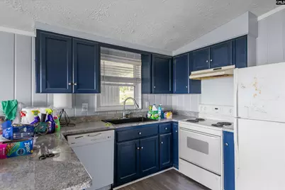 133 Williams Way, Chapin, SC 29036 - Photo 11