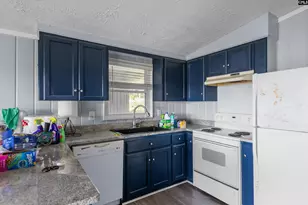 133 Williams Way, Chapin, SC 29036 - Photo 11