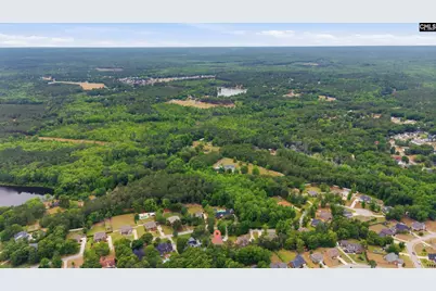 50 Sixty Oaks Lane, Elgin, SC 29045 - Photo 43