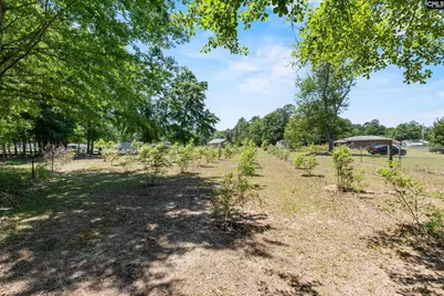 1633 Shilling Bridge Road, Orangeburg, SC 29115 - Photo 25