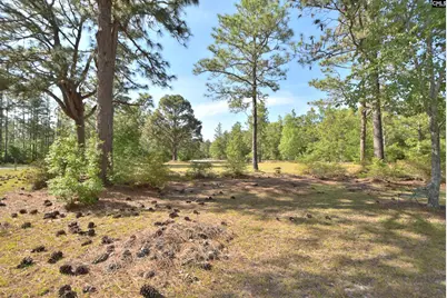 518 Pat Road, Lexington, SC 29073 - Photo 7
