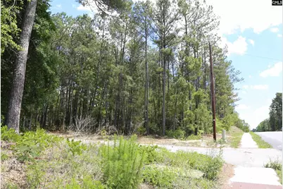 2956 Alpine Road, Columbia, SC 29223 - Photo 3