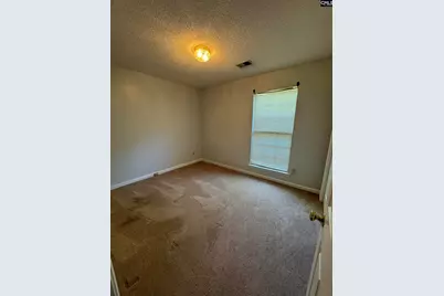 143 Bradstone Road, Irmo, SC 29063 - Photo 11