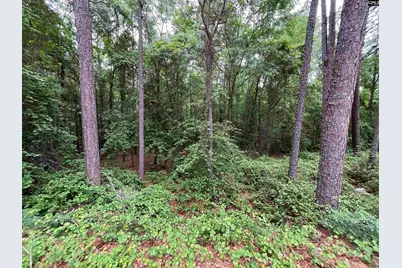 7008 Monticello Road, Columbia, SC 29203 - Photo 5