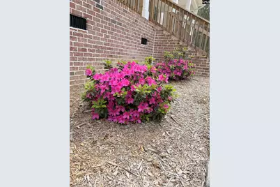 3839 Two Notch Road, Gilbert, SC 29054 - Photo 73