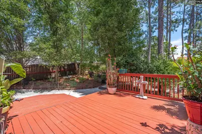 119 Silverberry Drive, Lexington, SC 29073 - Photo 37