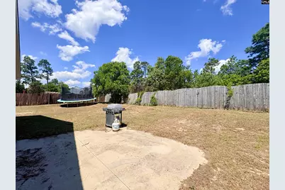 290 Baneberry Loop, Lexington, SC 29073 - Photo 31