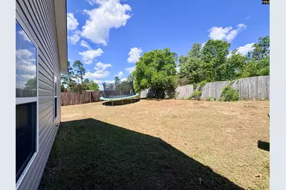 290 Baneberry Loop, Lexington, SC 29073 - Photo 29