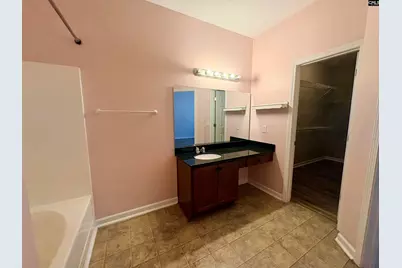 290 Baneberry Loop, Lexington, SC 29073 - Photo 17