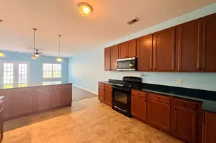 290 Baneberry Loop, Lexington, SC 29073 - Photo 9