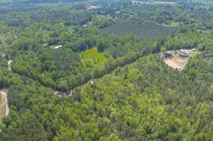 10994 US Hwy 176, Pomaria, SC 29126 - Photo 77