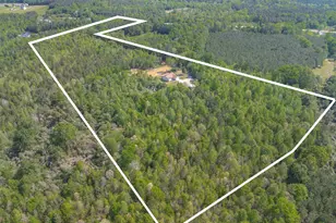 10994 US Hwy 176, Pomaria, SC 29126 - Photo 3