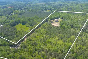 10994 US Hwy 176, Pomaria, SC 29126 - Photo 71
