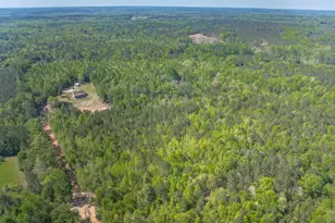 10994 US Hwy 176, Pomaria, SC 29126 - Photo 81