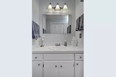 707 Cedar Field Lane, West Columbia, SC 29170 - Photo 33