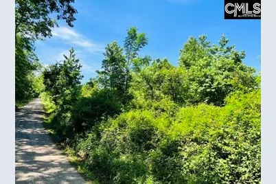 Tbd Timberlane Road, Leesville, SC 29070 - Photo 1