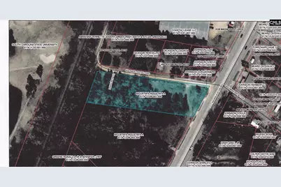 Tbd Magnolia Street, Orangeburg, SC 29118 - Photo 1