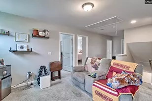 87 Texas Black Way, Elgin, SC 29045 - Photo 29