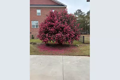 159 Greenside Drive, Lexington, SC 29072 - Photo 53