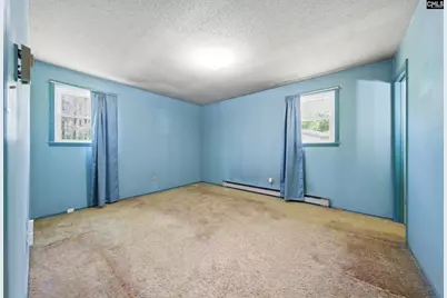 729 Shelton Ferry Road, Whitmire, SC 29178 - Photo 5