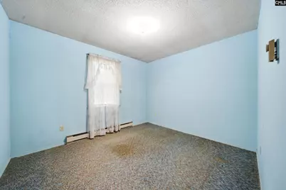 729 Shelton Ferry Road, Whitmire, SC 29178 - Photo 11