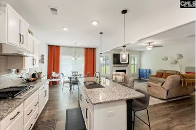 39 Hanging Leaf Court, Blythewood, SC 29016 - Photo 11