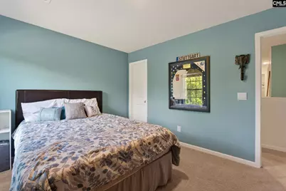 1619 Birch Grain Road, Chapin, SC 29036 - Photo 55