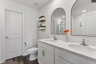 1619 Birch Grain Rd, Chapin, SC 29036 - Photo 49