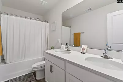 1619 Birch Grain Road, Chapin, SC 29036 - Photo 53
