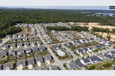 1619 Birch Grain Road, Chapin, SC 29036 - Photo 67