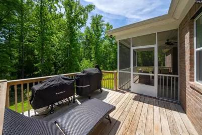 39 White Ash Court, Blythewood, SC 29016 - Photo 33