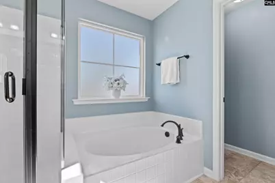 262 Charter Oaks Drive, Blythewood, SC 29016 - Photo 19