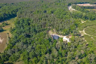 1116 Nursery Rd, Little Mountain, SC 29075 - Photo 9