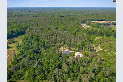 1116 Nursery Road, Little Mountain, SC 29075 - Photo 7