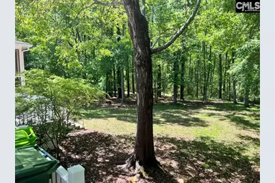 4 Tavern Court, Blythewood, SC 29016 - Photo 57