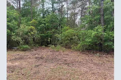 500 Bowman Avenue, Elgin, SC 29045 - Photo 7