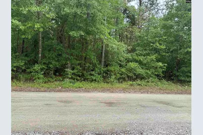 500 Bowman Avenue, Elgin, SC 29045 - Photo 5