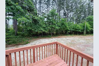 329 Kyzer Road, Lexington, SC 29073 - Photo 29