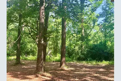 930 Peach Festival Road, Gilbert, SC 29054 - Photo 33