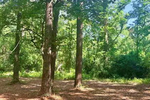 930 Peach Festival Rd, Gilbert, SC 29054 - Photo 33