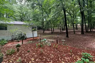 930 Peach Festival Rd, Gilbert, SC 29054 - Photo 35