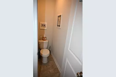 64 Salers Lane, Columbia, SC 29209 - Photo 23