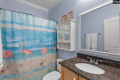 115 Pointe Overlook Drive, Chapin, SC 29036 - Photo 29