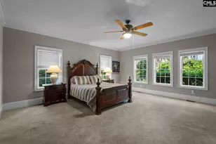 115 Pointe Overlook Dr, Chapin, SC 29036 - Photo 19
