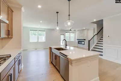 473 Rainbow Shad Way, Lexington, SC 29072 - Photo 9